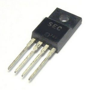 IC 1M0365R