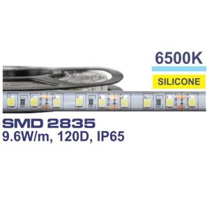 LED TRAKA BELA 120X, SA  ZASTITOM (2835)