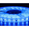 LED TRAKA PLAVA 60X ,SA ZASTITOM (5050) , ICE BLUE